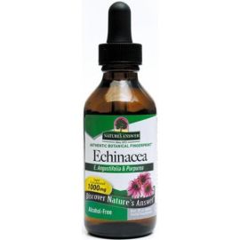 Echinacea Root Nature's Answer 1000mg - 60 ml.